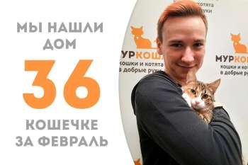Чуть больше трех месяцев понадобилось Пипеточке, чтобы стать домашней!