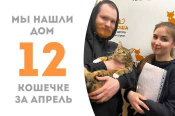 Пломбирка теперь домашняя!
