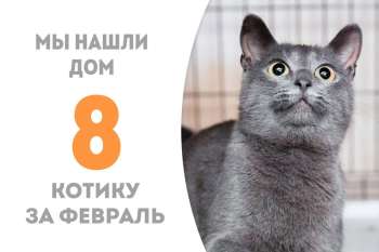 Плутос обрел домашнее счастье!