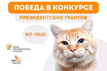 Победа в конкурсе президентских грантов!