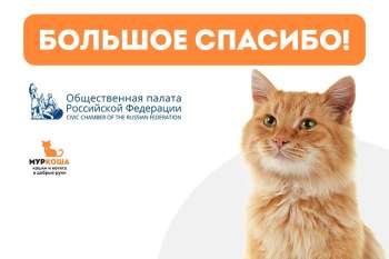 Общественная палата РФ поддержала проект "Муркоши" по обмену опытом