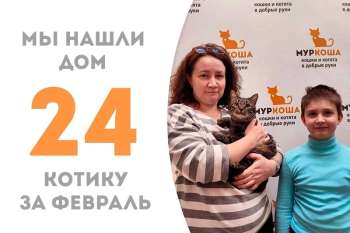 Всего два месяца – и чудесный Полосочкин снова домашний!