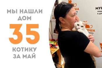 Пробыв у нас чуть меньше трёх месяцев, Потапыч отправляется домой к нашим выпускникам, Егозе и Великолепному Максу!