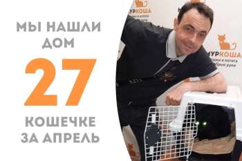 Прага покидает приют спустя полторы недели!