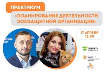 Практикум "Планирование деятельности зоозащитной организации"
