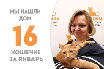 Примула обрела дом!