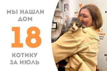 Прыгнарук вместе со своей чудесной хозяйкой устремляется домой!