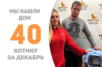 Птоломей встретил свою семью и отправился отмечать Новый год дома!