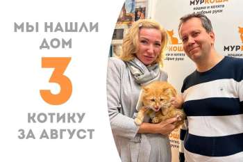 Пунш встретил свою семью!