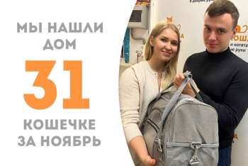 Роскошная Пушишка отправилась домой!
