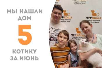 Немногим больше трех месяцев и Пышнопух становится домашним!