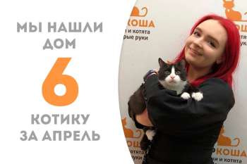 Малыш Райманд пробыл у нас менее 2 месяцев и собрал чемоданчики, отправившись к нашей администраторше Юлии!