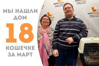 Наша Рессета уехала в семью, где её ждут наши выпускники Фарт и Дунай!