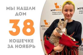Рикене улыбнулась удача!