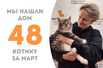 Чудесный Родриго нашел свою семью спустя всего полтора месяца!