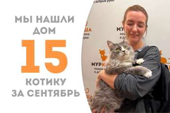 Рокуш становится счастливчиком!