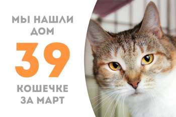 Обворожительная Розарита уехала домой!