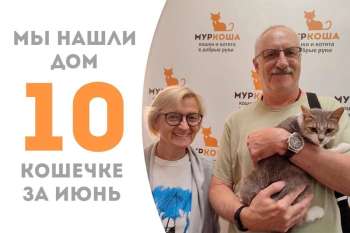 Рози нашла семью менее чем за два месяца!