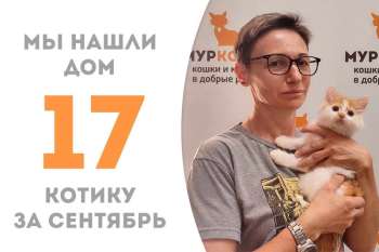 Рыжехвост становится счастливчиком!