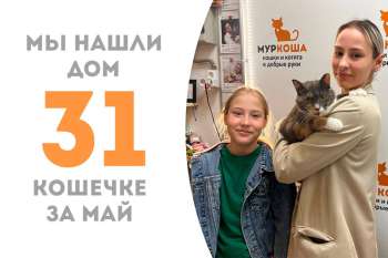 Попрощались с Сальвой!