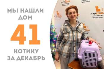 Новогоднее исполнение мечты Санжела!