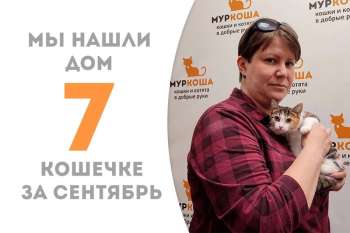 Менее трех месяцев понадобились Сазани, чтобы найти своего человека!