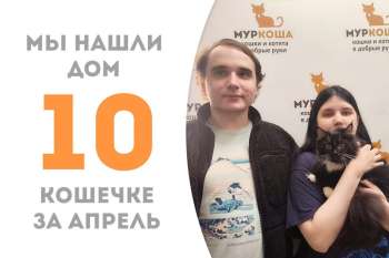 Меньше двух месяцев прошло, а красотка Селестина уже встретила своих людей!