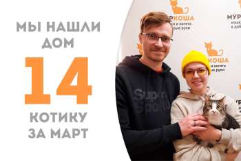 Чудесный Семицветик встретил свою семью менее чем за месяц и уже отправился домой!