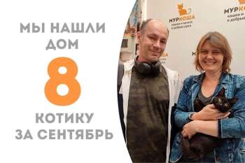 Всего две недели прошло, а Сэмио уже дома!