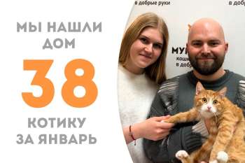 Чуть больше трех месяцев понадобилось Серафимушке, чтобы стать домашним!
