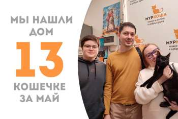 Проводили Серенейд в домашнюю жизнь!