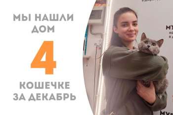 У невероятной красавицы Сфирки теперь есть и дом, и любовь!