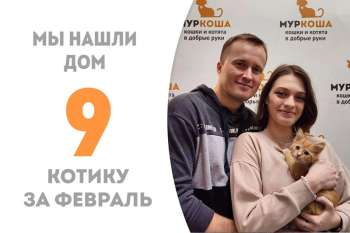 Три недели - и игривый малыш Шампань становится домашним!