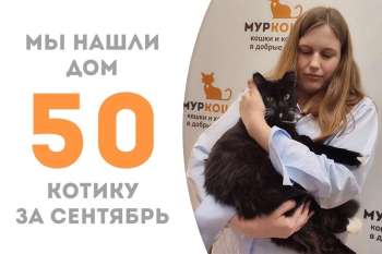 Шамус уехал в свой новый дом!