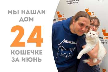 Передали Шардоне в руки её новой семьи!
