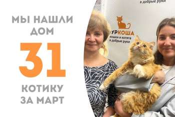 Яркому Шиповнику понадобилось всего пару месяцев, чтобы уехать в дружную семью к Келси!