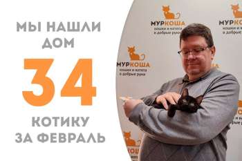 Меньше месяца понадобилось Шкиперу, чтобы найти своего хозяина!