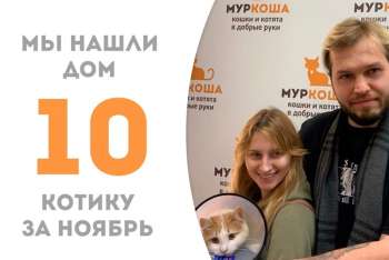 Очаровательный Шутик попрощался с приютом!