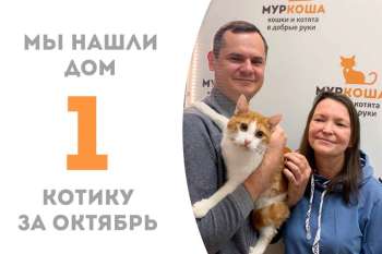 Сибас отправляется в домашнее плаванье!