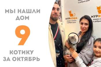 Сидней встретил свою семью!