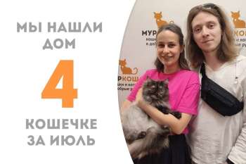 Красавица Симба стала счастливицей!