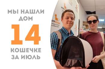 Прекрасная Симуся обрела дом!
