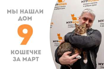 Скарти получила лучший подарок в женский праздник - домашнюю жизнь!