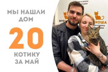 Полосатик Слэш становится счастливчиком!