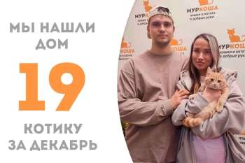 Слэй становится домашним, пробыв у нас чуть больше месяца!