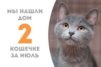 Всего за три недели Смоки Айс обрела любящую семью!