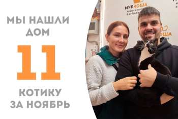 Малыш Смокинг приоделся для торжественного ухода домой спустя 3 недели пребывания в приюте!