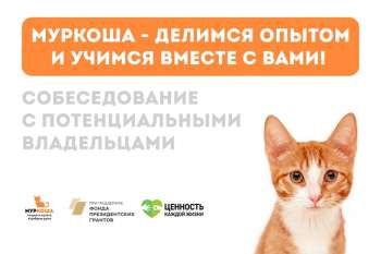 Собеседование с потенциальными владельцами