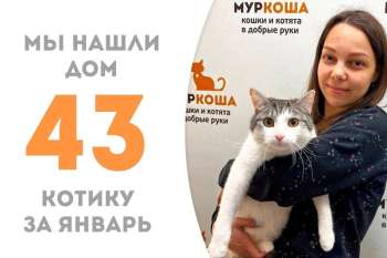 Кот Софит стал домашним!