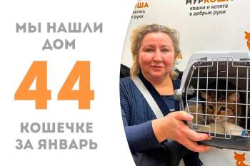 Последний день января обернулся удачей для скромной Соломки!